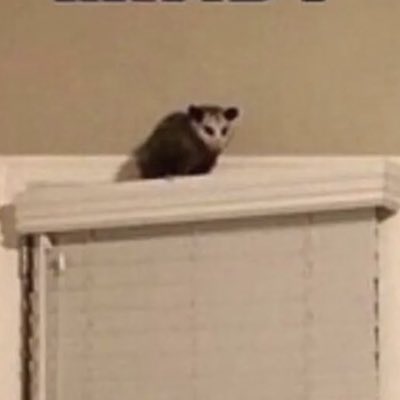 lydialcm's tweet photo. #NewProfilePic https://t.co/WkyXw9dHbt