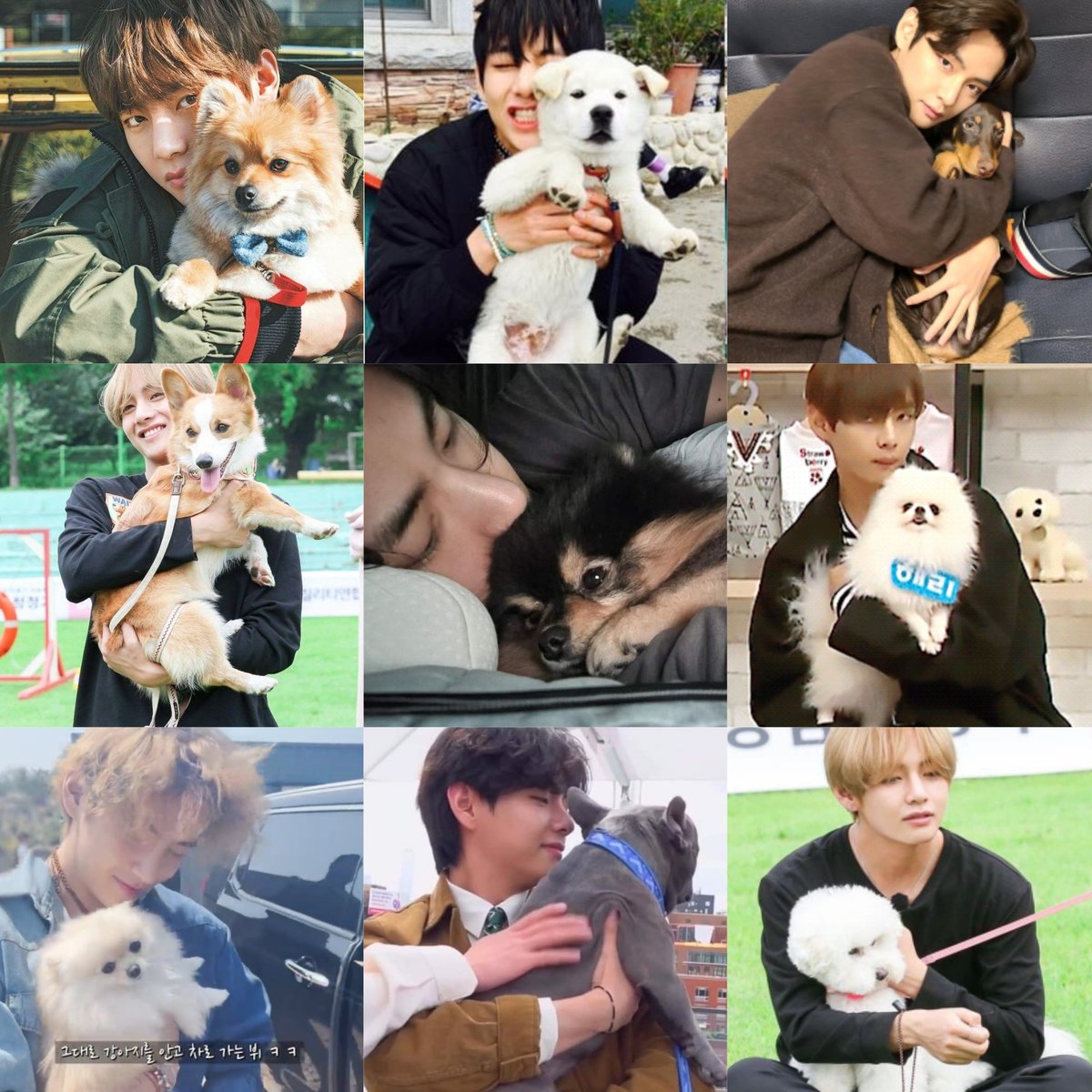 seokjinmylabsss's tweet photo. kim taehyung with yeontan , bam 🥺 and other dogs so cute 💜 https://t.co/8OdDOfHN45