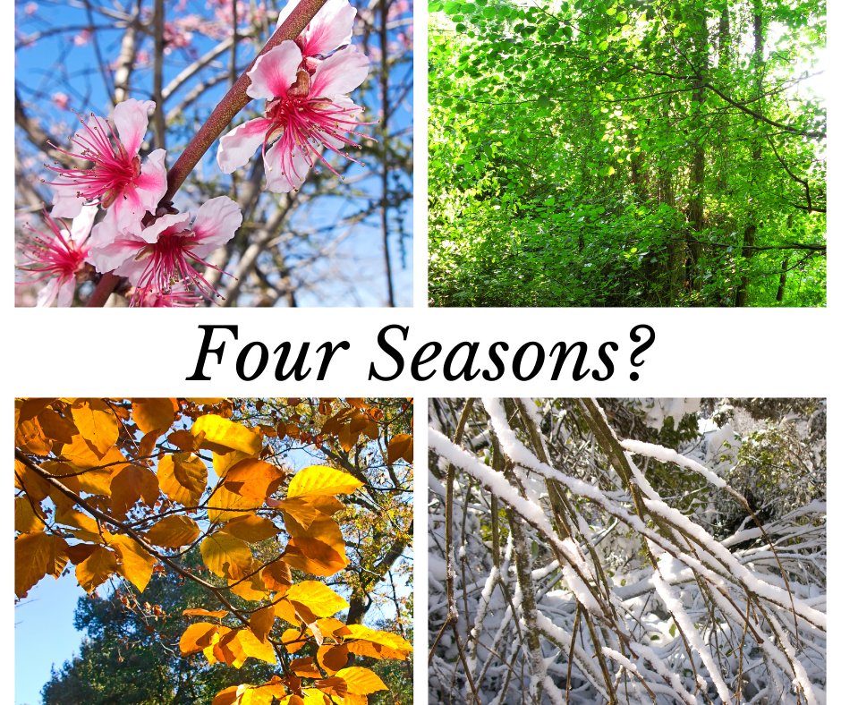 Defend Lake Anna tweet media