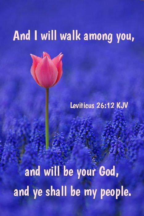 Stewart7Donna's tweet photo. And I will walk among you, and will be your God, and you shall be my people. https://t.co/DODuwTV9k7