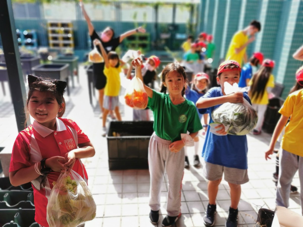 A huge thank you to the grade 3 students, teachers and Future Bright for all the compostable food scraps!  We've added over 100 kgs of food waste to the TIS composters in the last 3 weeks. #TISMacao