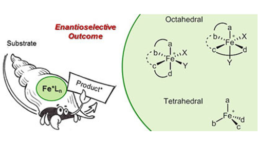 Chiral Iron Complexes in Asymmetric Organic Transformations (Piarulli) onlinelibrary.wiley.com/doi/10.1002/ad…