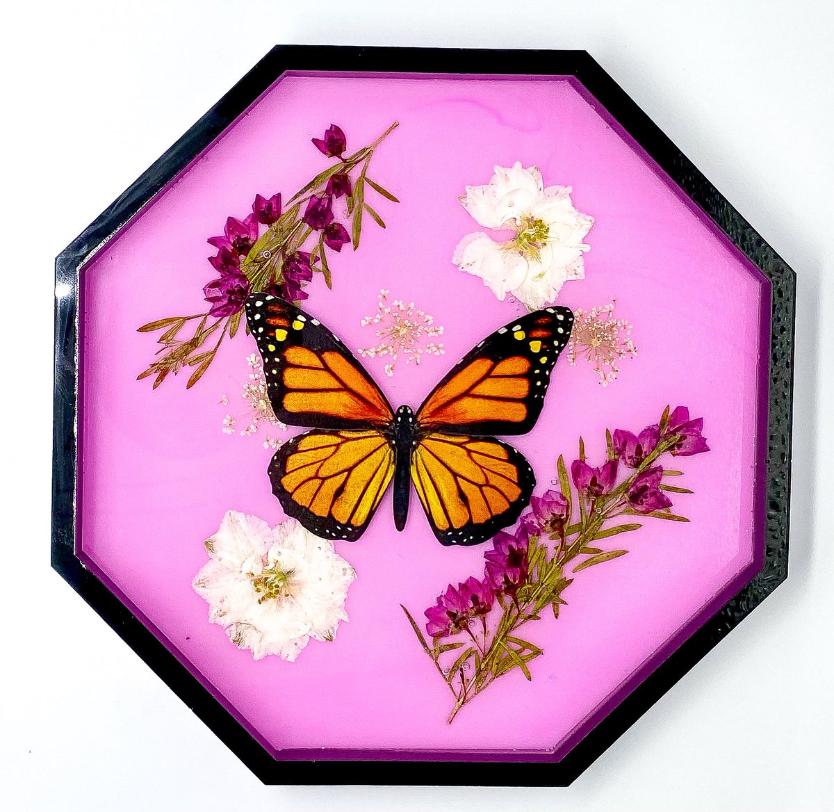 Heatherskiesss's tweet photo. Pink Monarch Boronia Tray 💘 https://t.co/xif6HNUK8Y