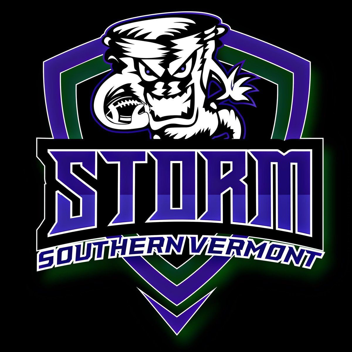 SouthernVTStorm's tweet photo. Just in time for the holidays! Get your limited edition Storm gear today!

https://t.co/tBYHt3cXke https://t.co/NV7x3Buil1