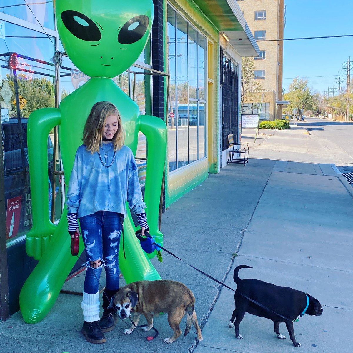 Noelleeparker23's tweet photo. 👽🛸 https://t.co/ldvB7vGIAQ