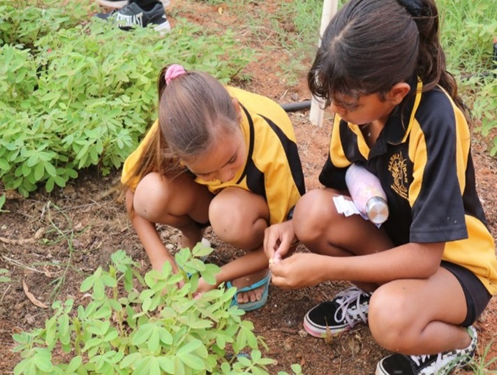 WA_Edu_News's tweet photo. STEM success! 🏆👏
Congratulations to Harrisdale PS, Joseph Banks SC, Ashdale SC and Marble Bar PS who all won awards at the Governor's School STEM Awards 2021!
The awards recognise the leadership, advocacy, engagement and achievements of WA schools in STEM education.
#STEM https://t.co/nVMaxMpmmK