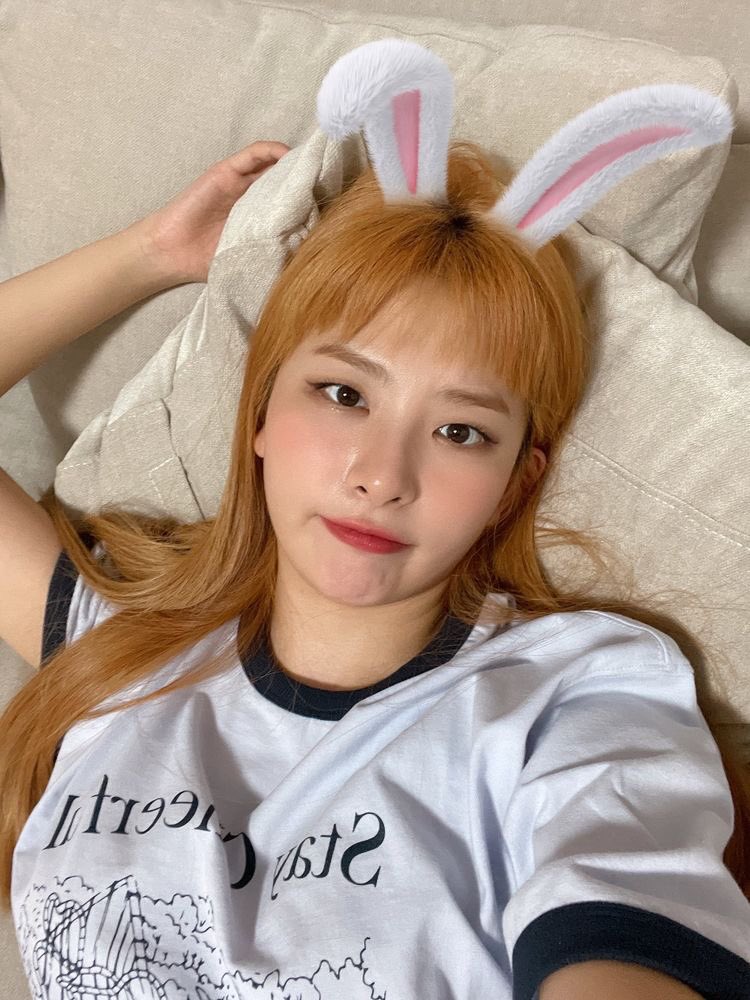 plenilunioent's tweet photo. ˖˙ ៹ ✮ 𝐏lenilunio is 𝐥ooking for 𝐲𝐨𝐮 . . . 

Nuestro RED VELVET está en busca de 𝗪𝗘𝗡𝗗𝗬, 𝗝𝗢𝗬 y 𝗦𝗘𝗨𝗟𝗚𝗜 para poder completarse y al fin debutar. Si te interesa no dudes comunicarte a nuestro dm o dejar un comentario.
✶ Se pide ACTIVIDAD y COMPROMISO. https://t.co/cLFWHrdsbZ