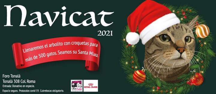BoutiqueCalacat's tweet photo. Y para todos los que se quedaron con ganas de comprar regalitos gatunos nos vemos el próximo Domingo en #Navicat de @vivegatito y evento con garantía de mucha diversión, los esperamos en #forotonala

#calacat #catlover #CDMX #cat #gatos #Gatitos #todoengatos #bazar #eventos https://t.co/MrSaLsyG0T