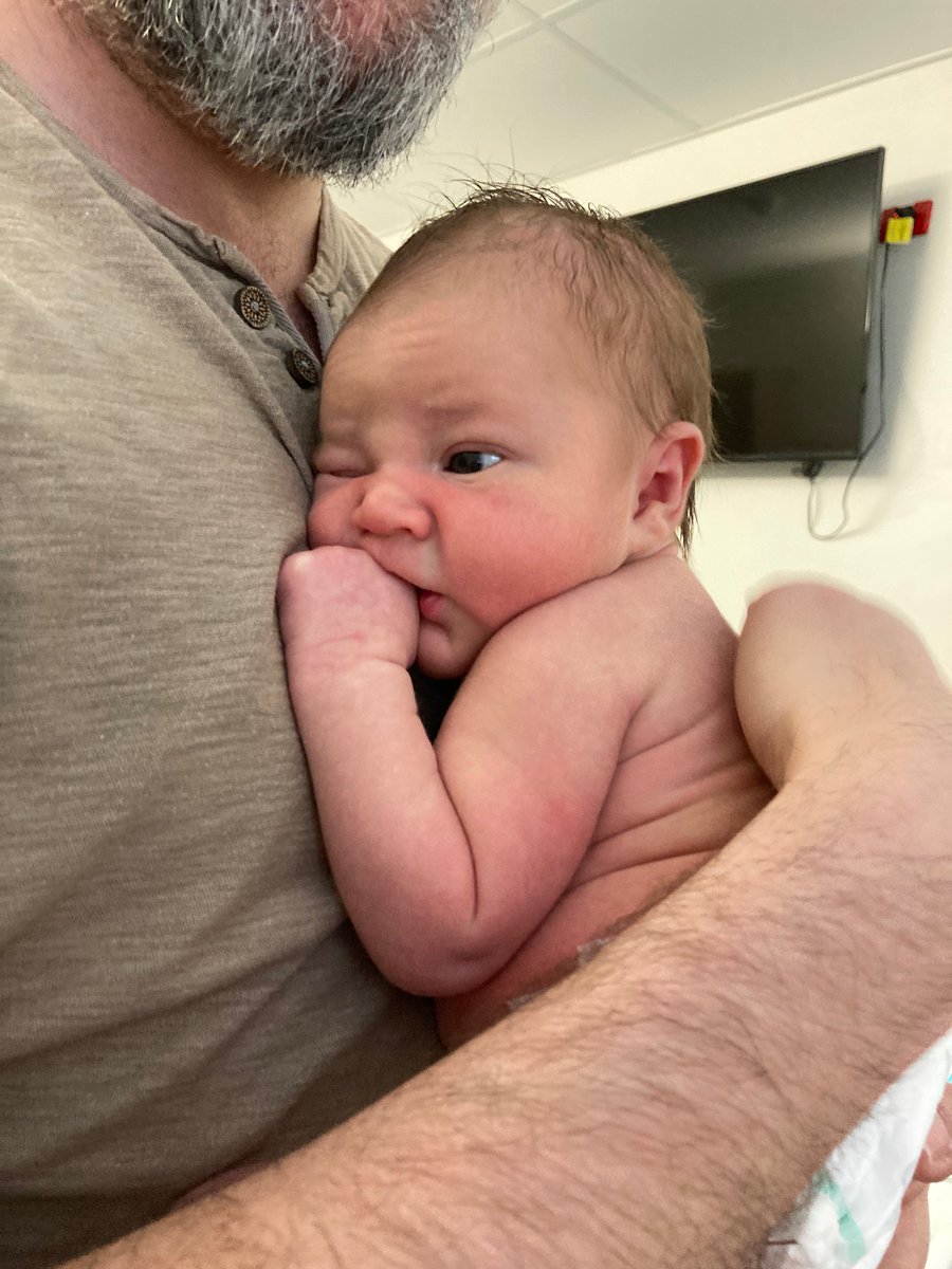 manuscriptgal's tweet photo. Hello, Twitter! This is my son, the milk-drunk pirate. His name is David Robert Gareth Haig. https://t.co/FVPFDjZ3Z7