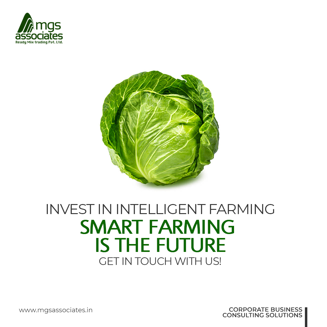 mgs_associates's tweet photo. Invest in Intelligent Farming
Smart Farming is The Future
Get In Touch With Us!

https://t.co/2UPOgpS6Ok | Corporate Consultant
#mgsassociates #Contracting #PropertyConsultants #BusinessManagement #ITSupportAndService #ExportAndImport https://t.co/3BUDiYfGV9