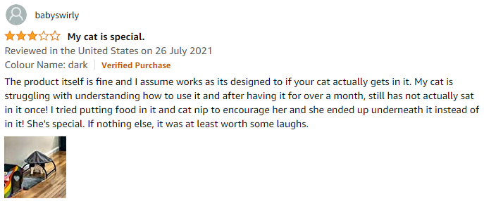 LOL🤣,this cat is so cute☺️