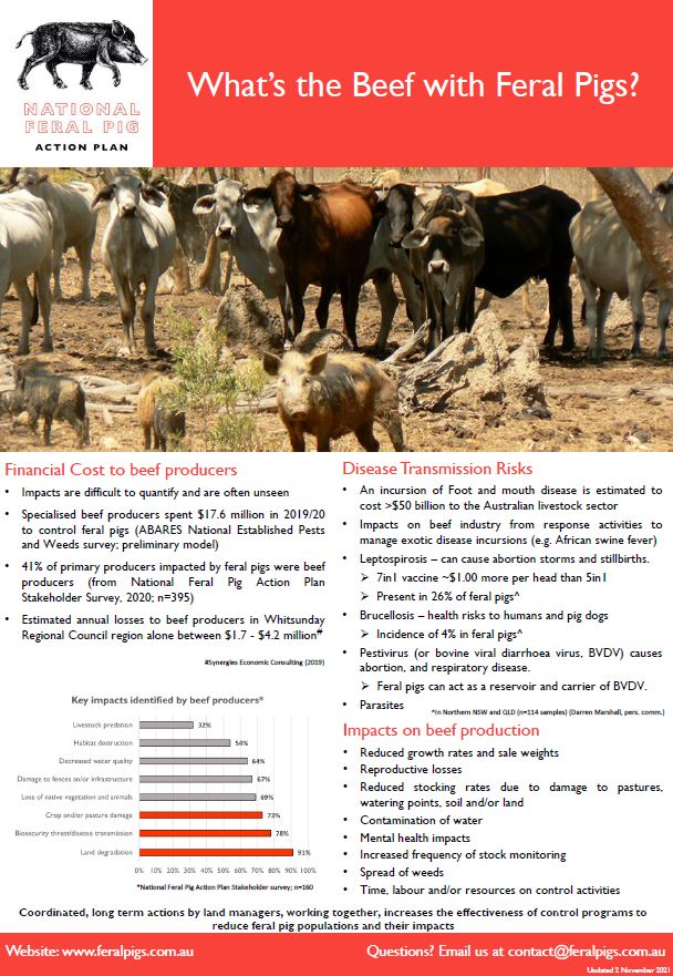 What's the beef with #feralpigs? Did you know Feral Pigs can impact cattle? 

Have a look at our fact sheet for more info. If you would like to download this pdf or other feral pig factsheets, visit feralpigs.com.au/resources/
