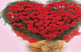 Madlyn McCaffery (@madlynmccaffery) on Twitter photo 