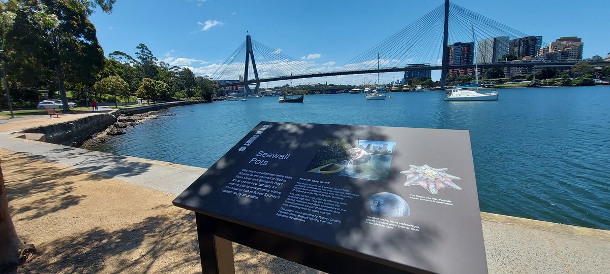 Our team is investigating the long term effects of flower pots installed at Blackwattle Bay by <a href="/morris_becki/">Dr Rebecca L. Morris</a> between 2013-2016. Nice day for #fieldwork! @SydneyMarine <a href="/unswcmsi/">UNSW CMSI</a> @MQBiology