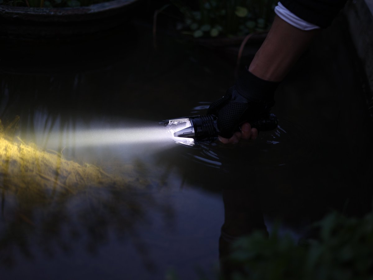 こんにちは、メタです🙂