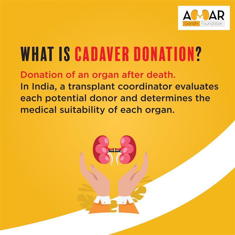 AmarGandhiFoundation tweet media