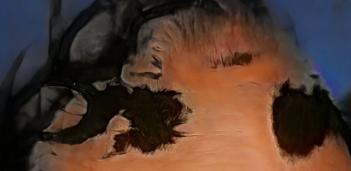 detail &gt;&gt; anomalia &gt;&gt; #nft #cryptoart