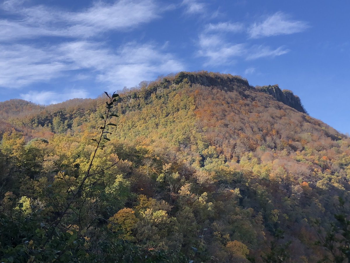 BeyondBCN's tweet photo. Our stunning decideous forests/Al país on les boscanes decídues són hegemòniques (#Llancers, #Falgars) #hiking #birding #Catalonia #Garrotxa #Cabrerès https://t.co/YJkuyXC05C