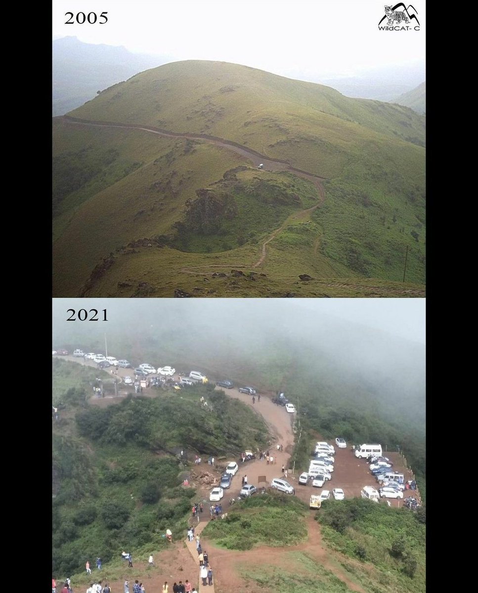 TheWesternGhat's tweet photo. (ಪರಿಸರಕ್ಕೆ ಸಂಬಂಧಿಸಿದ ಟ್ವೀಟ್ ಗಳನ್ನು
Retweet ಮಾಡಿ 🙏)

🟡 ನಾಗರಿಕತೆ ಬೆಳೆದಂತೆ ಮನುಷ್ಯ ಬುದ್ದಿವಂತನಾಗುತ್ತಾನೆ  ತಿಳಿದ ಮನುಷ್ಯನು ಪ್ರಕೃತಿಯನ್ನು ಈ ರೀತಿ ಭಂಗಗೂಳಿಸುತ್ತಾನೆ ಅಂದರೆ ನಾಳೆಯ ಆ ದಿನಗಳು ಇನ್ನು ಕಠೋರ ಆಗುವುದರಲ್ಲಿ ಸಂಶಯವಿಲ್ಲ.
#Mullayanagiri ನಲ್ಲಿ ಸಾರ್ವಜನಿಕ ವಾಹನಗಳನ್ನು ನಿರ್ಬಂಧಿಸಿ #SaveWesternGhats https://t.co/T78IX9VMNc