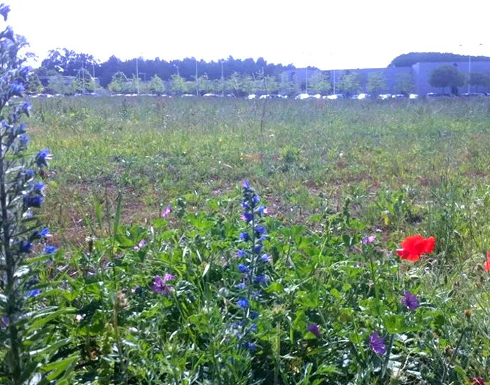 Métropolitiques tweet media