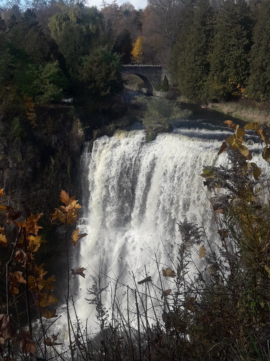 JaneSpotting's tweet photo. Way down in the autumn, when the throngs of people have gone, I bring you Webster Fall #HamOnt #trailroaminglass https://t.co/cPMFDiXOEj