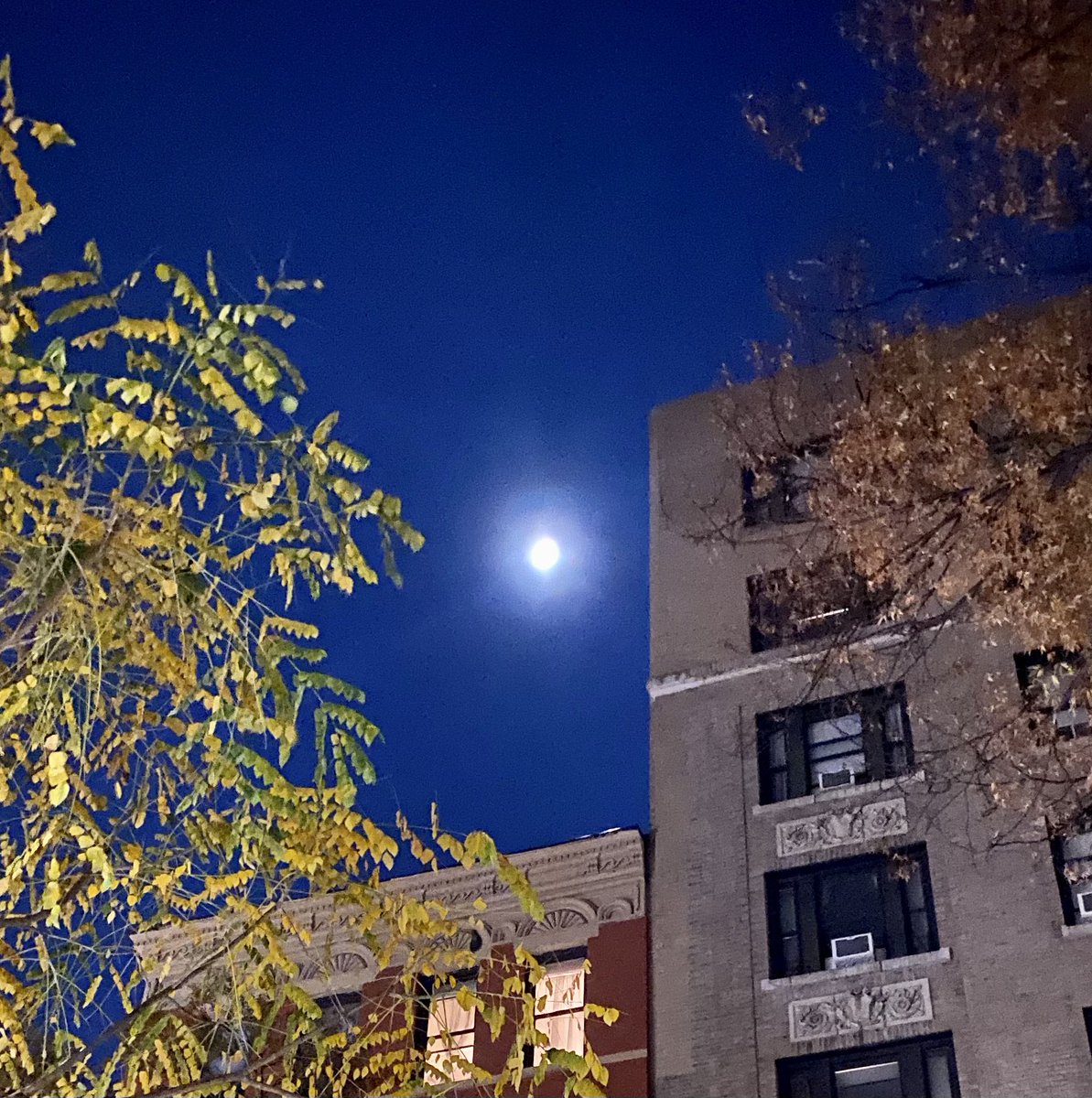 antoniopags's tweet photo. Gazing at the Goddess.
#moonovermanhattan #witches #Manhattan #magic https://t.co/GUQekGadpK