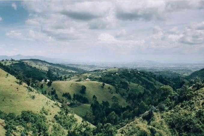 ethiolocate's tweet photo. #Ethiopia 🇪🇹
Ethio locate 

Visit | Sign Up
👉 https://t.co/QQlDQ4wbpe

Download The App:
👉 https://t.co/nTdhKX5y9n 

@ethiolocate https://t.co/oEW5BOrr7J