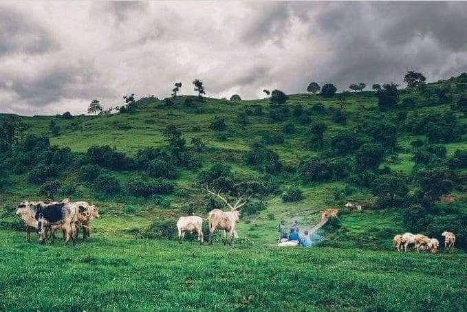 ethiolocate's tweet photo. #Ethiopia 🇪🇹
Ethio locate 

Visit | Sign Up
👉 https://t.co/QQlDQ4wbpe

Download The App:
👉 https://t.co/nTdhKX5y9n 

@ethiolocate https://t.co/oEW5BOrr7J