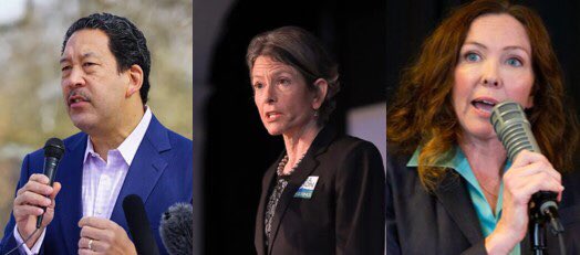 WACeaseFire's tweet photo. Election victors Bruce Harrell, Sarah Nelson and Ann Davison all endorse Washington CeaseFire’s Gun-Free Zone initiative! https://t.co/MukBf6dUPf