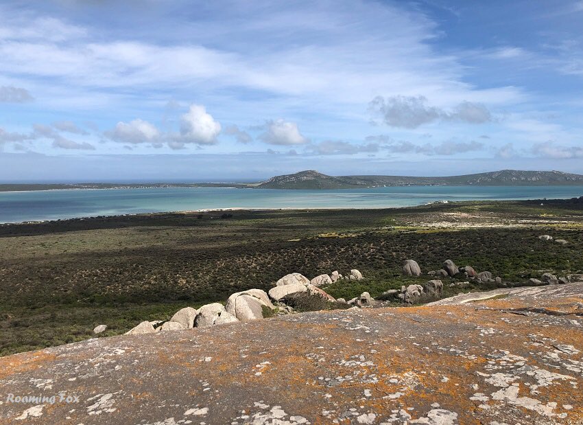 wcoast's tweet photo. RT @roaming_fox: Another view of the Langebaan Lagoon from the Seeberg Viewpoint  looking towards Kraalbaai and Postberg.  
#langebaan #lagoonview #nationalpark https://t.co/fhYZqNvryh