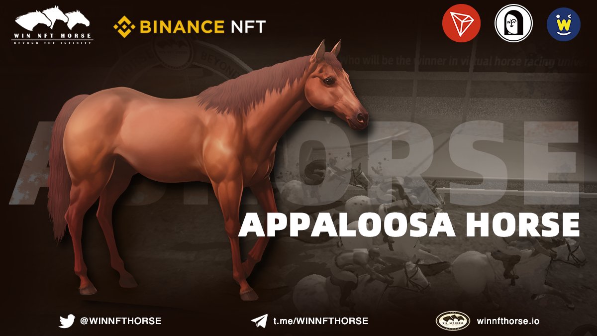 WINNFTHORSE's tweet photo. (2/2)😎Appaloosa horse is expensive, and four dimensional attributes are relatively prominent. The lowest value is 1514, and the highest value reaches 1920!
@justinsuntron ​@Tronfoundation @apenftorg @WinkLink_Oracle https://t.co/wRHbg2j3VU