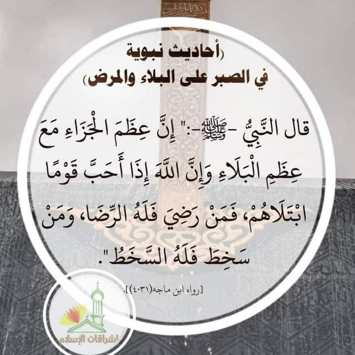 Ywob1iqLuQ586zR's tweet photo. https://t.co/RtvGaNbs3p