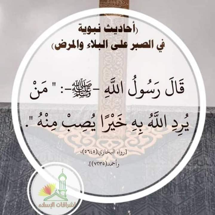 Ywob1iqLuQ586zR's tweet photo. https://t.co/RtvGaNbs3p