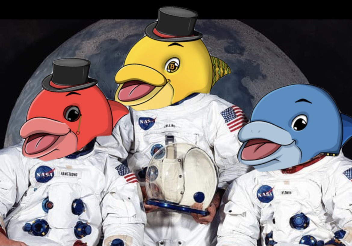 #DolphinGang ➡️🚀