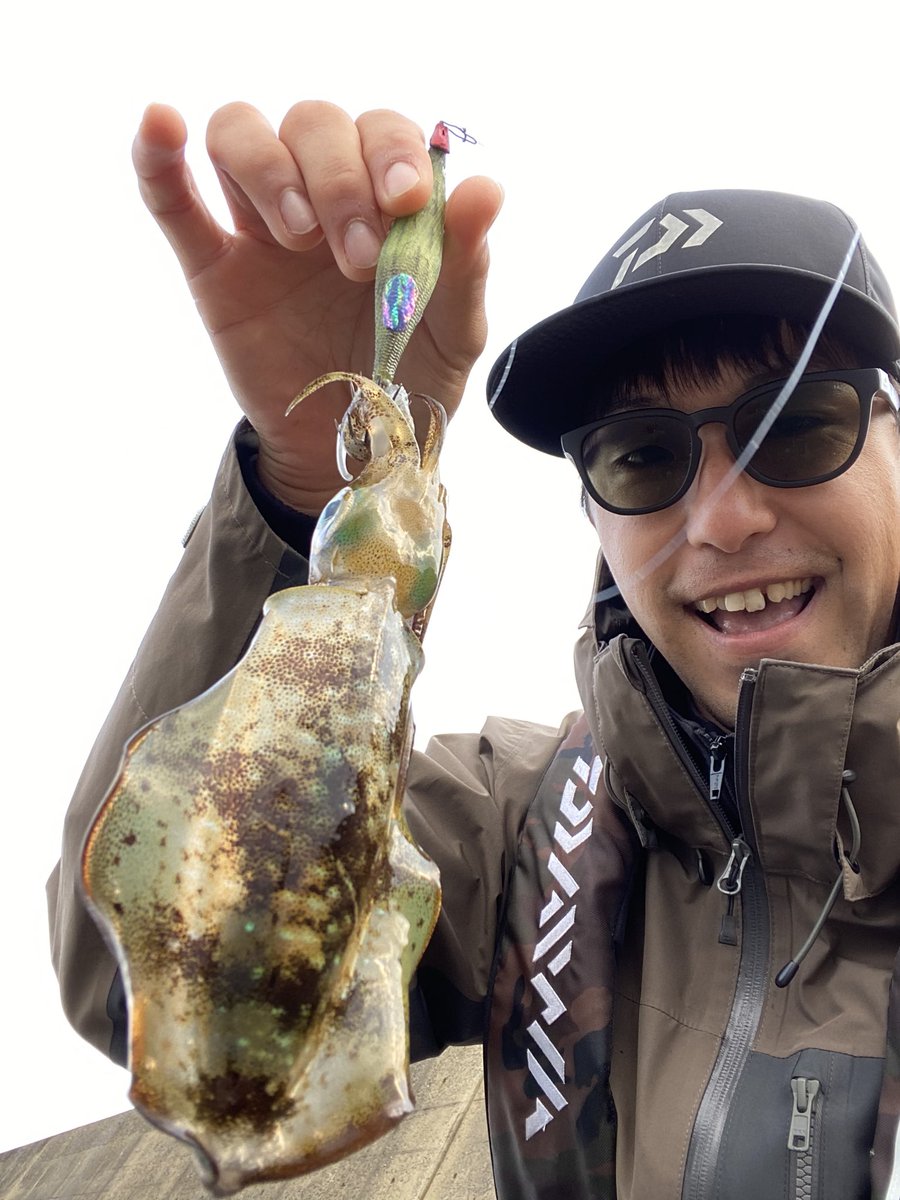 hthyde1's tweet photo. 数釣り楽し〜✨
#エギング 
#ゴメクサス 
#ダイワ 
#アオリイカ 
#数釣り https://t.co/EfNhm9Qdjg
