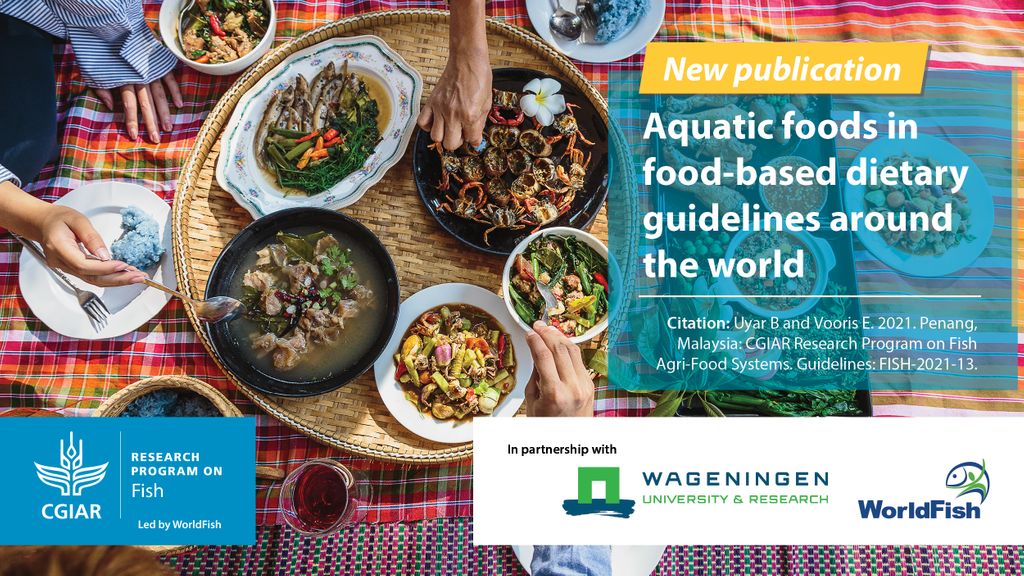 National food-based dietary guidelines (FBDGs) are an essential tool for encouraging habitual intake of #aquaticfoods in a manner that is healthy for both the global population and the planet. Read more from @FISH_CGIAR 👉 bit.ly/3n6IvyH @WUR @SussexUni