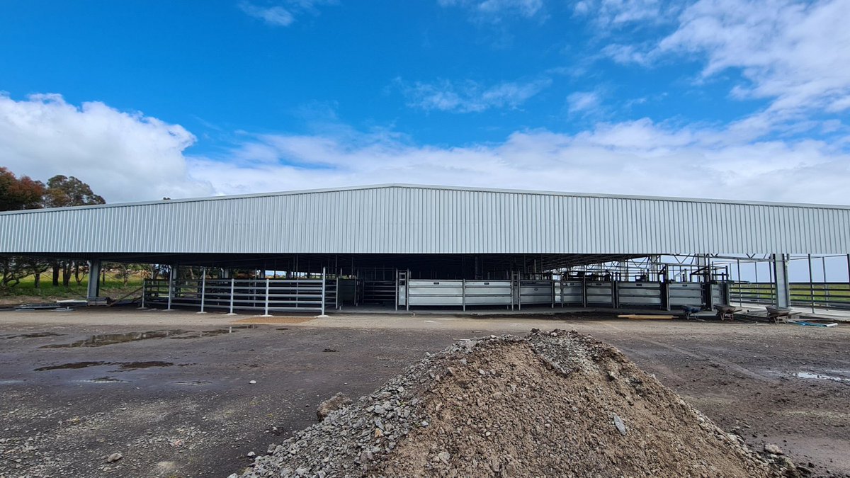 ActionSteel's tweet photo. Some progress shots of this impressive 45 metre span covered yards facility.
📍Winchelsea VIC
#BigSheds #ProWayAUS https://t.co/zgapXuFdNW