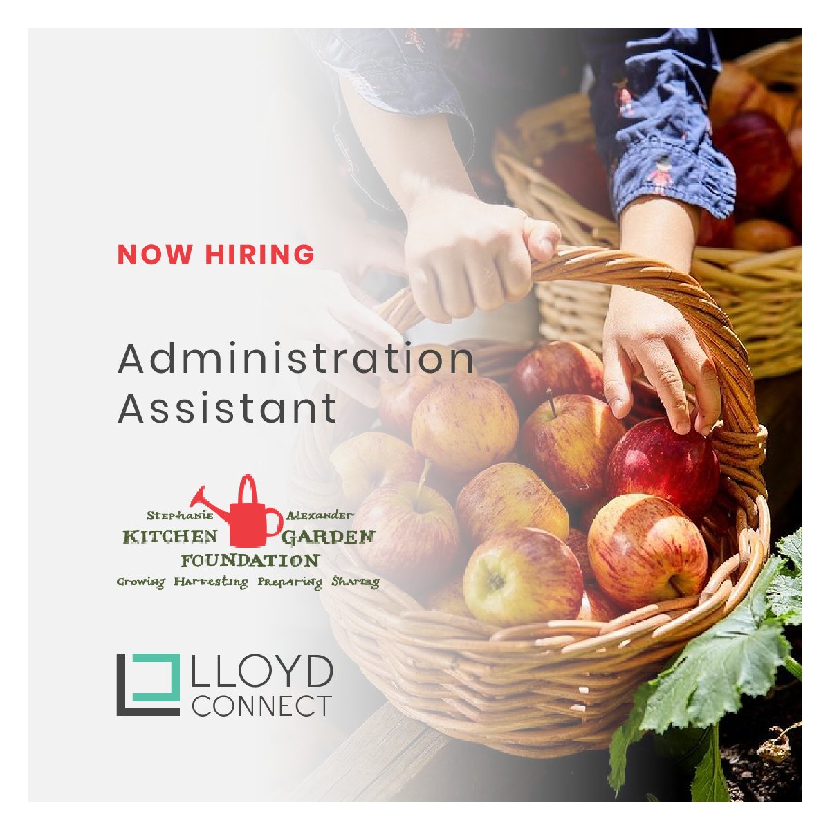 LloydConnect's tweet photo. Unique opportunity to coordinate & deliver all of the Administration requirements for this exciting new initiative & support the wider HKA team.
https://t.co/SrQ0gn4wPl
#SAKGF #administration #melbournejobs #healthyeating #healthprograms https://t.co/hsqbOplghm