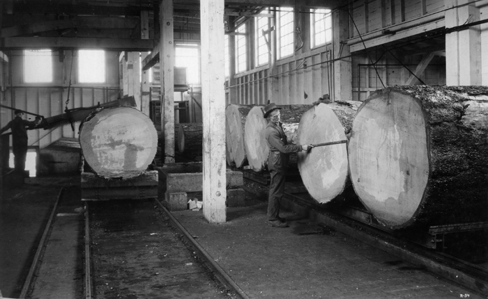 wildland_zko's tweet photo. Doing some research for reporting on the #DixieFire and #MoonlightFire and came across these historic photos from Westwood, California and surrounding areas. Credit @foresthistory https://t.co/Rn7NJwkRct https://t.co/s9Gd9wTjWq
