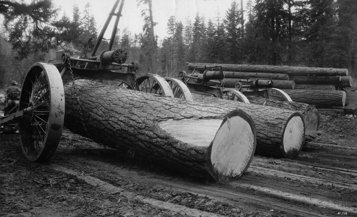 wildland_zko's tweet photo. Doing some research for reporting on the #DixieFire and #MoonlightFire and came across these historic photos from Westwood, California and surrounding areas. Credit @foresthistory https://t.co/Rn7NJwkRct https://t.co/s9Gd9wTjWq