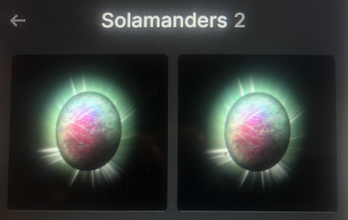 CryptoJortsss's tweet photo. @SolamandersNFT #manders4life
LFG! https://t.co/itrbZoR4aO