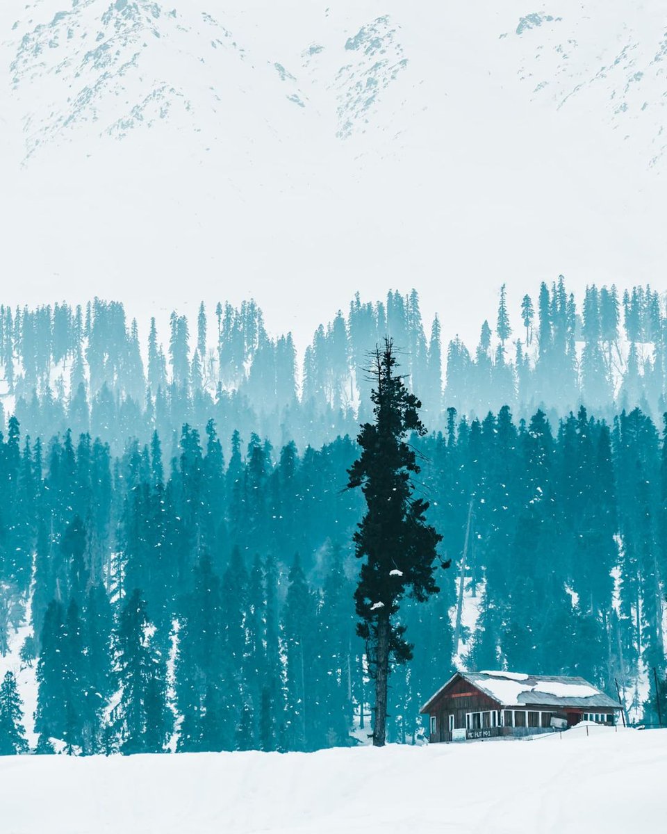 vacationtriang1's tweet photo. Stories from Gulmarg, Kashmir.
..
Credit: @pixelsofpast
..
BOOK YOUR TOUR AT: +91-8278747811
..
#kashmir #lonelyplanetindia #beautifuldestinations #triptokashmir
#india #photooftheday #kashmirdiaries #kasheer #traveltheworld #vacationtriangle #landscapes #gulmarg #snow https://t.co/pxoyFjbbwf