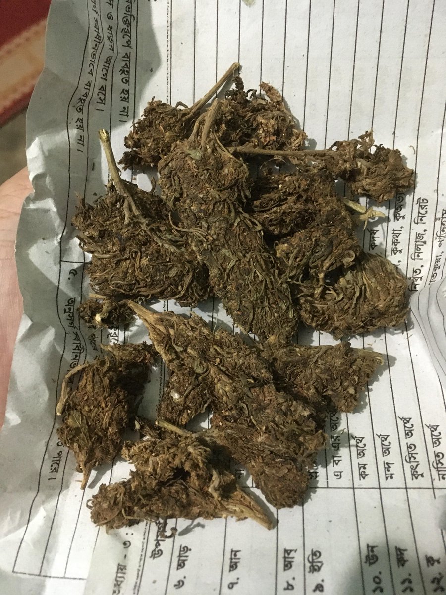 WriteWeed's tweet photo. This is what you get for 6 USD in Bangladesh. Street weed obviously #CannabisCulture #PuffPUffPass #Mmemberville https://t.co/RC4JQdFNJ5