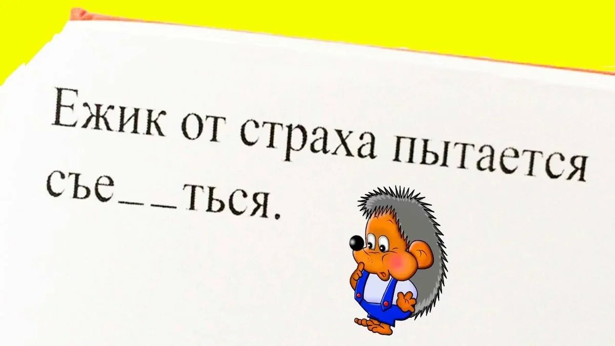 Ежик от страха пытается. Смешные задания из школьных учебников. Ёжик от страха пытается. Математические шутки. Смешные задачи из школьных учебников.