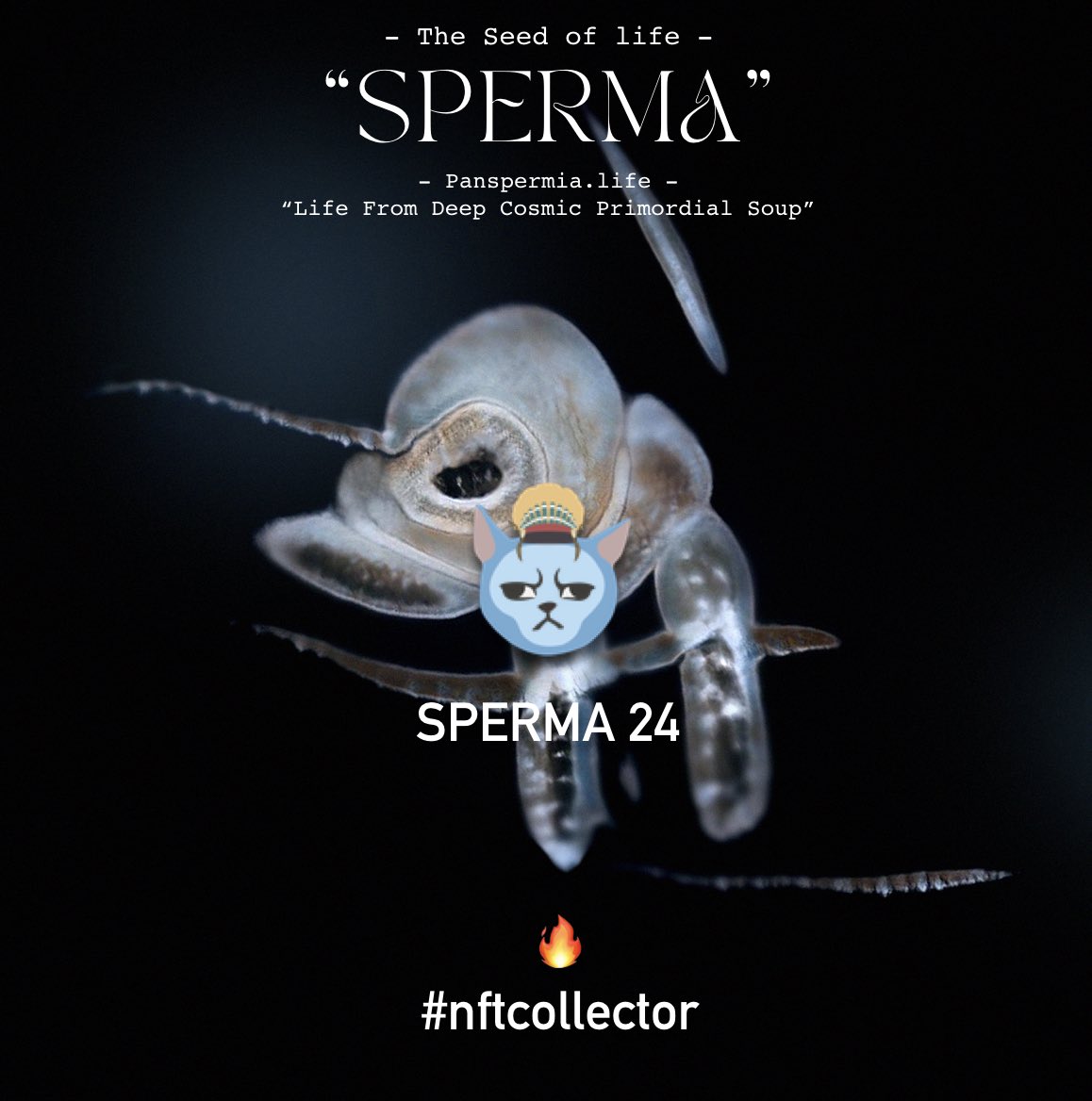 lululi_didelidi's tweet photo. Some cool cat🐱is the new owner of SPERMA 24z 👀🤔🤩🙏
Having fun with these encrypted cool cats profiles!
#nftdrop🔥 #nftcommunity #nftcollector #nftartist #ganart #astrology #lifeorigin #alien #seedoflife #sperma #panspermia https://t.co/FakTNFEJGY