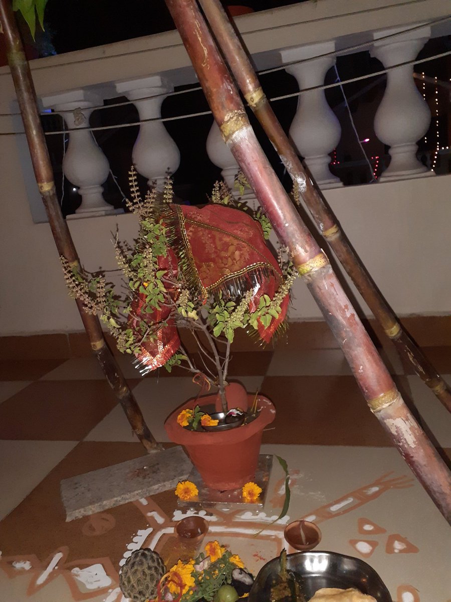 SatyaSharma_'s tweet photo. Tulsi Vivah and Devuthani Ekadashi Pooja 🙏🌿🏵
#DevUthaniEkadashi #DevUthaniEkadashi2021 #DevUthniEkadashi #DevUthaniEkadashi_2021 #TulsiVivah #happytulsivivah https://t.co/5zgb9mxHDX