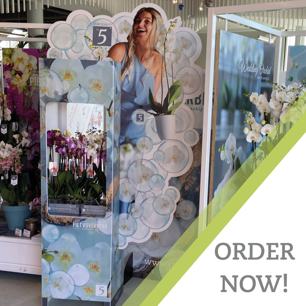 In honor of our 75th anniversary, we present a brand new display. 🎉 With this display, we want to support our European customers in creating more experience around the sale of our Star Quality By5 products. Are you in? ⭐⭐⭐⭐⭐