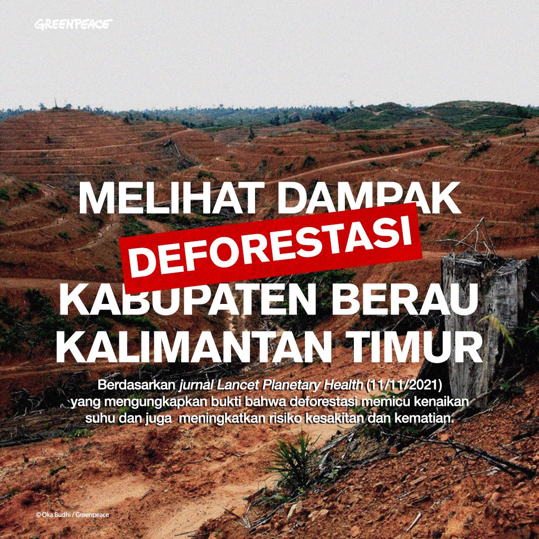 GreenpeaceID's tweet photo. 🚨 #StopDeforestasi 🚨

Penelitian terbaru ungkap bagaimana deforestasi mengancam kehidupan. Kabupaten Berau, Kalimantan Timur jadi saksi kenaikan suhu yang signifikan selama 2002-2018 akibat deforestasi. https://t.co/KHH2axigCi