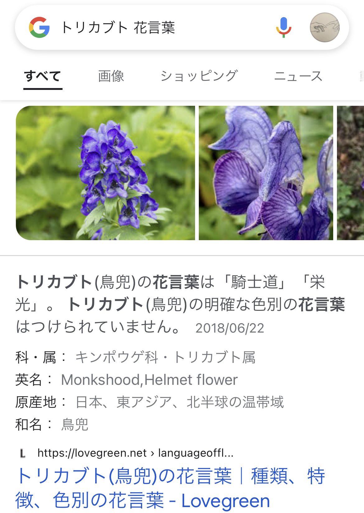もふ Mofu Mff Twitter