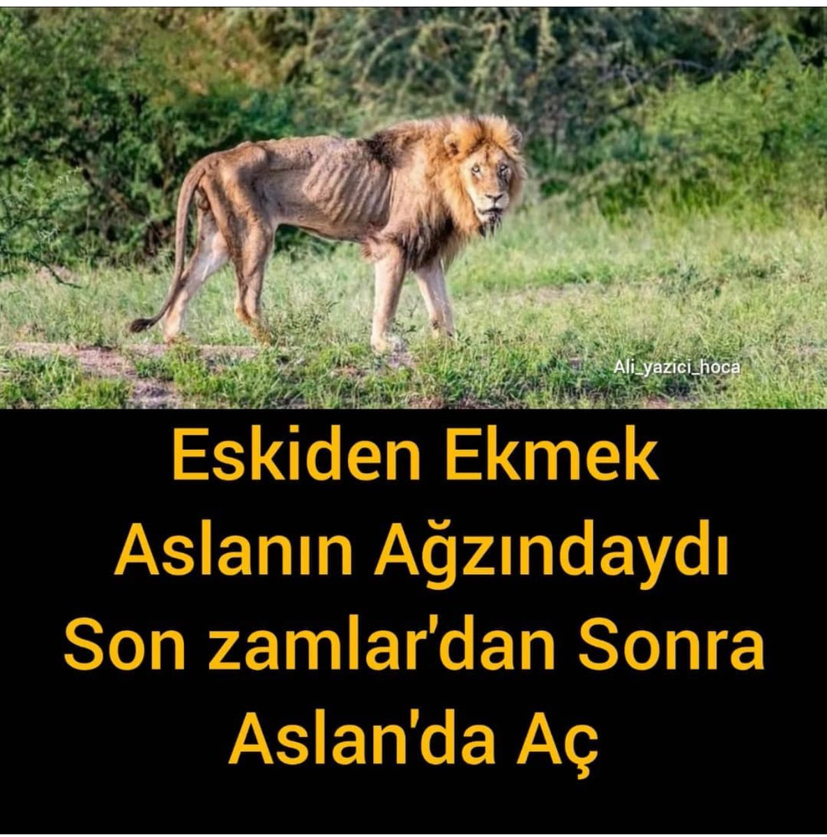 premsessibl's tweet photo. Daha ne kadar zam gelebilir merak ediyorum 🤢#şeker #salı #ZAMlarCANYakıyor https://t.co/74EM6tQETm